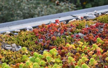 the cost of Grafton green roof installation