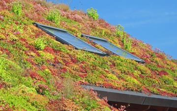 Grafton living roof systems