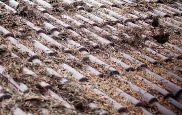 Grafton roof cleaning companies