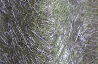 Grafton fibreglass roof work